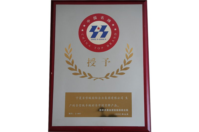 2002-2004年中国名牌产品