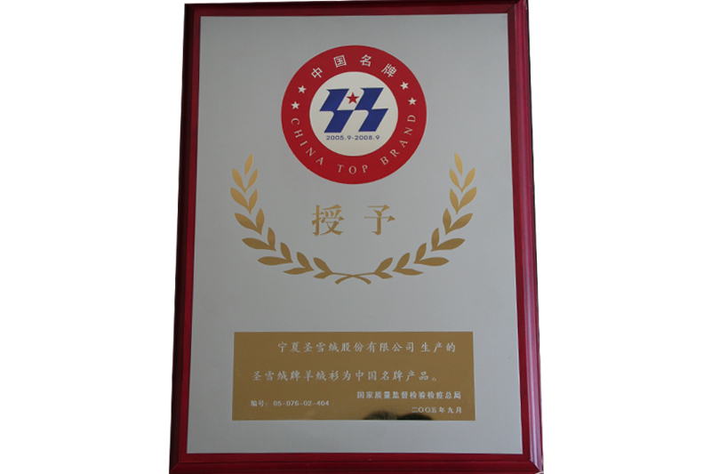 2005-2010年中国名牌产品