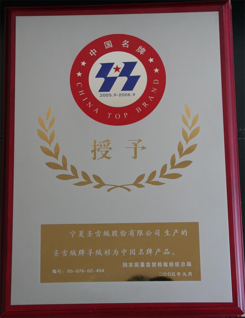 4.2005-2010年中国名牌产品_看图王.jpg