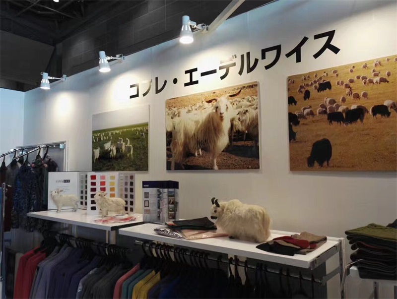 Japan Exhibition